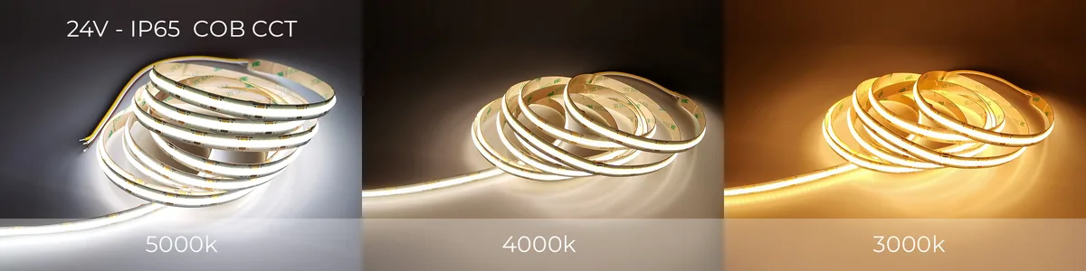 24V COB single colour LED strip in warm, natural and bright white